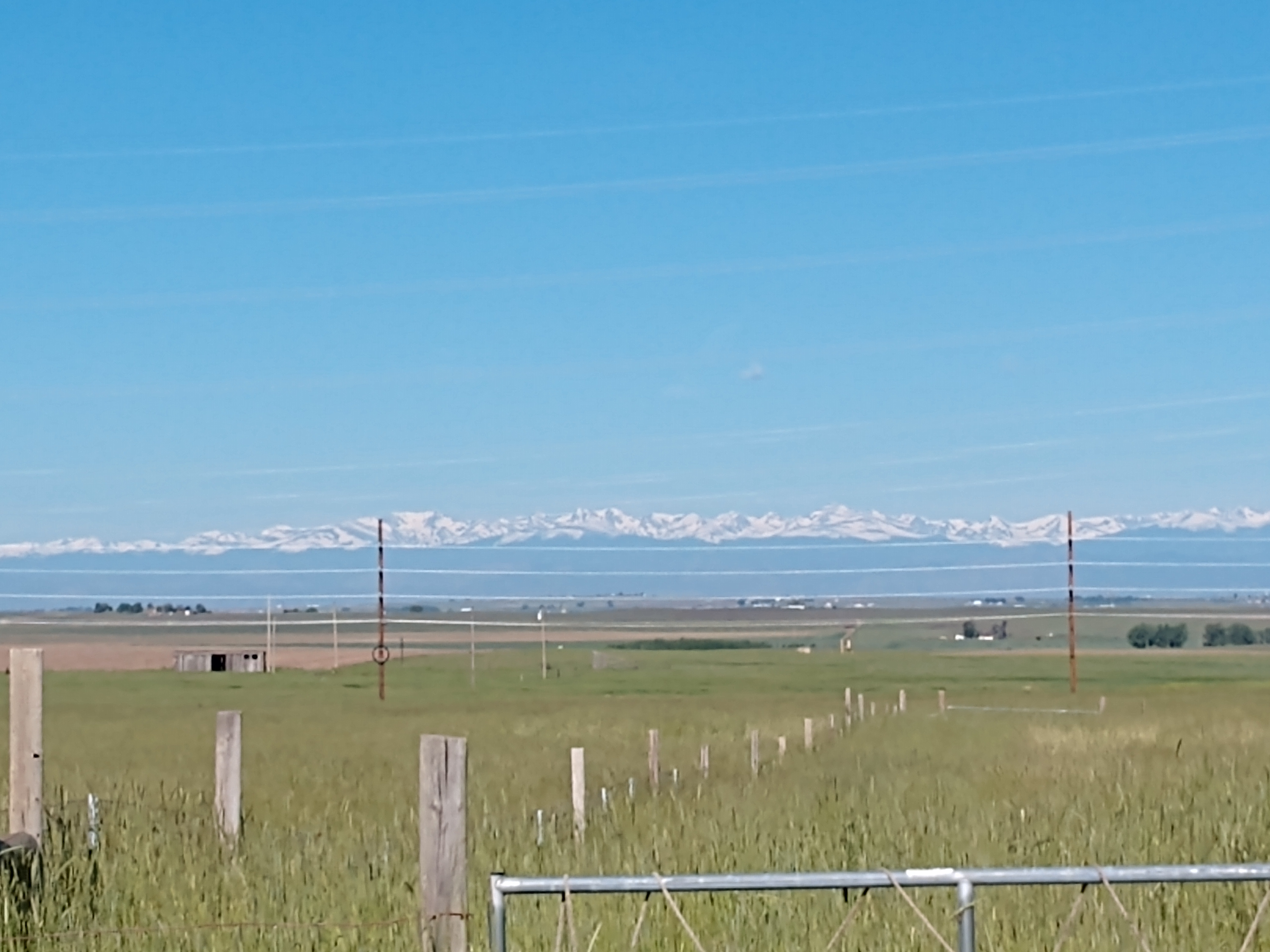 Green pasture and fence line with distant snow-capped mountains